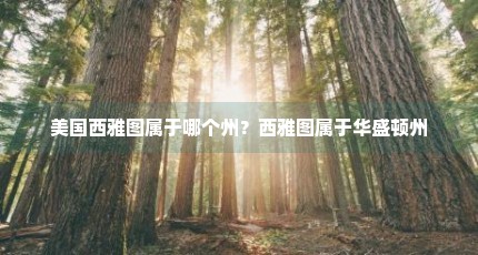 美国西雅图属于哪个州？西雅图属于华盛顿州