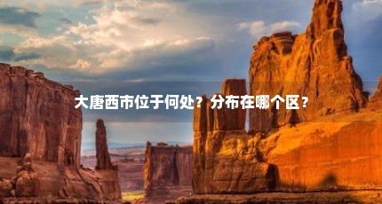大唐西市位于何处？分布在哪个区？