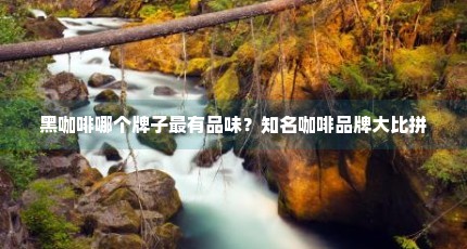 黑咖啡哪个牌子最有品味？知名咖啡品牌大比拼