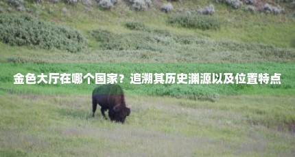金色大厅在哪个国家？追溯其历史渊源以及位置特点