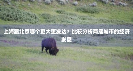 上海跟北京哪个更大更发达？比较分析两座城市的经济发展