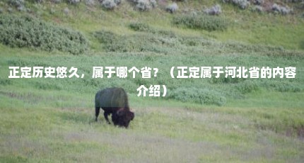 正定历史悠久，属于哪个省？（正定属于河北省的内容介绍）
