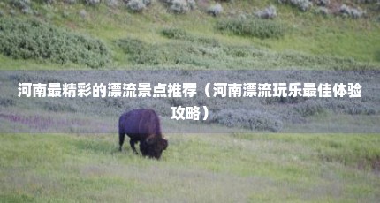 河南最精彩的漂流景点推荐（河南漂流玩乐最佳体验攻略）