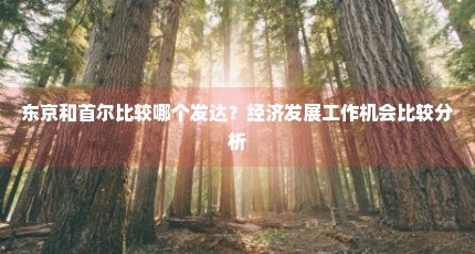 东京和首尔比较哪个发达？经济发展工作机会比较分析