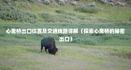 心斋桥出口位置及交通线路详解（探索心斋桥的秘密出口）