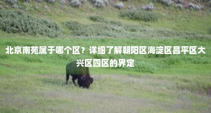 北京南苑属于哪个区？详细了解朝阳区海淀区昌平区大兴区四区的界定