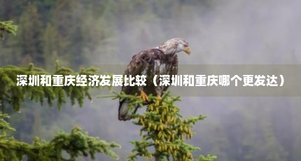 深圳和重庆经济发展比较（深圳和重庆哪个更发达）