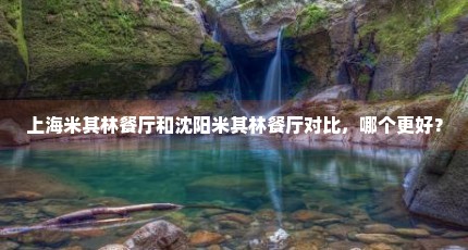 上海米其林餐厅和沈阳米其林餐厅对比，哪个更好？