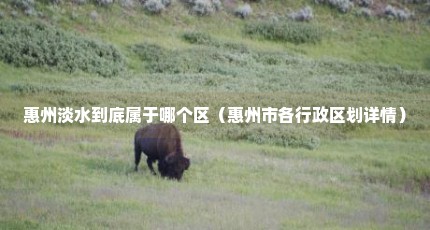 惠州淡水到底属于哪个区（惠州市各行政区划详情）