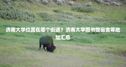 济南大学位置在哪个街道？济南大学图书馆宿舍等地址汇总