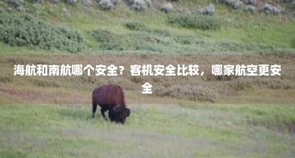 海航和南航哪个安全？客机安全比较，哪家航空更安全