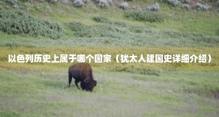 以色列历史上属于哪个国家（犹太人建国史详细介绍）