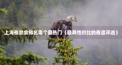 上海夜总会排名哪个最热门（最具性价比的夜店评选）