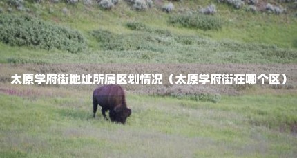 太原学府街地址所属区划情况（太原学府街在哪个区）