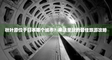 秋叶原位于日本哪个城市？来这里玩的最佳旅游攻略