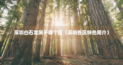深圳白石龙属于哪个区（深圳各区特色简介）