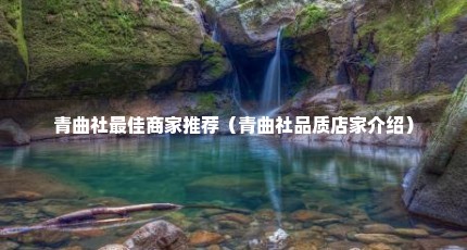 青曲社最佳商家推荐（青曲社品质店家介绍）