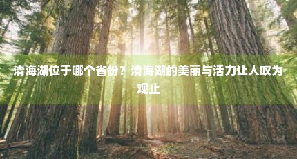 清海湖位于哪个省份？清海湖的美丽与活力让人叹为观止