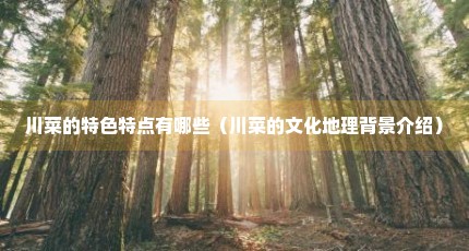 川菜的特色特点有哪些（川菜的文化地理背景介绍）