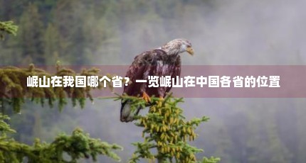 岷山在我国哪个省？一览岷山在中国各省的位置
