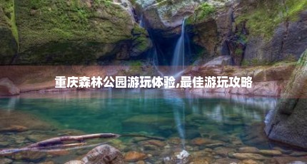 重庆森林公园游玩体验,最佳游玩攻略
