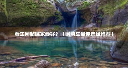 看车网站哪家最好？（网购车最佳选择推荐）