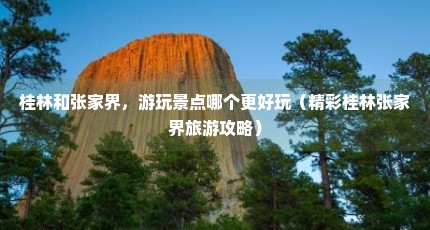 桂林和张家界，游玩景点哪个更好玩（精彩桂林张家界旅游攻略）