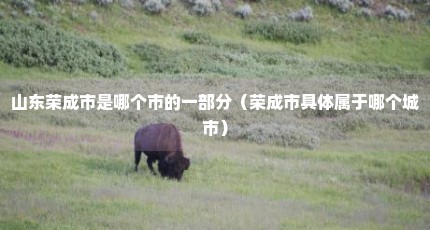 山东荣成市是哪个市的一部分（荣成市具体属于哪个城市）