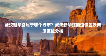 武汉新华路属于哪个城市？武汉新华路街道位置及所属区域分析
