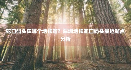 蛇口码头在哪个地铁站？深圳地铁蛇口码头最近站点分析