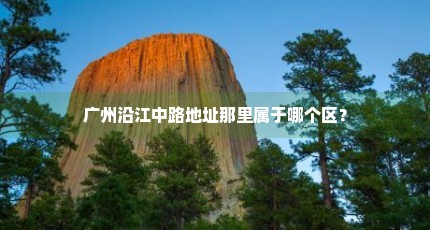 广州沿江中路地址那里属于哪个区？