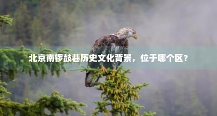 北京南锣鼓巷历史文化背景，位于哪个区？