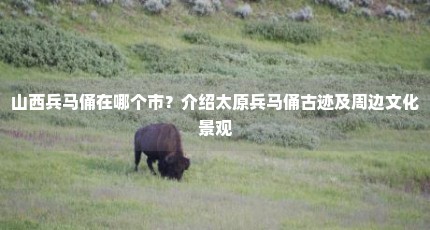 山西兵马俑在哪个市？介绍太原兵马俑古迹及周边文化景观