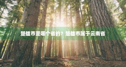 楚雄市是哪个省的？楚雄市属于云南省
