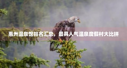 惠州温泉馆排名汇总，最具人气温泉度假村大比拼