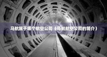 马航属于哪个航空公司（马航航空公司的简介）