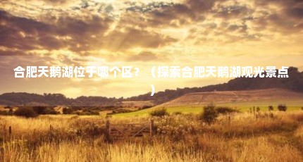 合肥天鹅湖位于哪个区？（探索合肥天鹅湖观光景点）