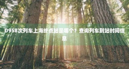 D958次列车上海终点站是哪个？查询列车到站时间信息