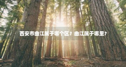西安市曲江属于哪个区？曲江属于哪里？