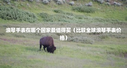 浪琴手表在哪个国家最值得买（比较全球浪琴手表价格）