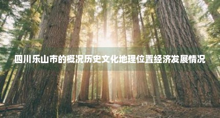 四川乐山市的概况历史文化地理位置经济发展情况