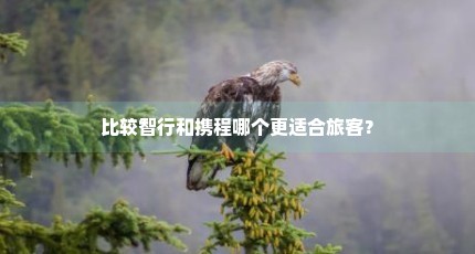 比较智行和携程哪个更适合旅客？