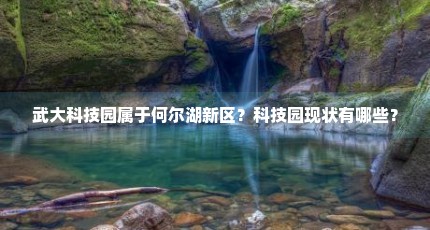 武大科技园属于何尔湖新区？科技园现状有哪些？