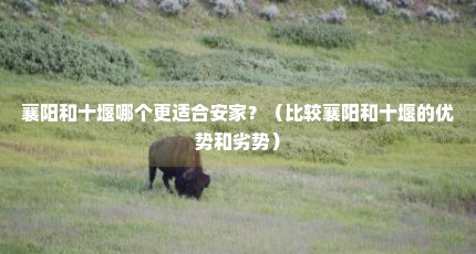 襄阳和十堰哪个更适合安家？（比较襄阳和十堰的优势和劣势）