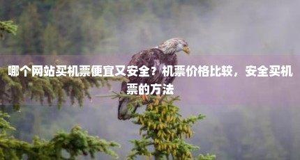 哪个网站买机票便宜又安全？机票价格比较，安全买机票的方法