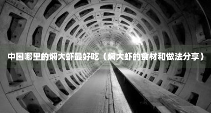 中国哪里的焖大虾最好吃（焖大虾的食材和做法分享）