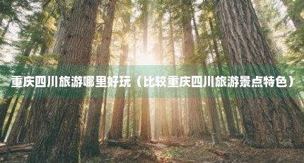 重庆四川旅游哪里好玩（比较重庆四川旅游景点特色）
