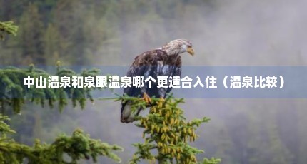 中山温泉和泉眼温泉哪个更适合入住（温泉比较）