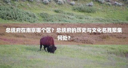 总统府在南京哪个区？总统府的历史与文化名胜聚集何处？