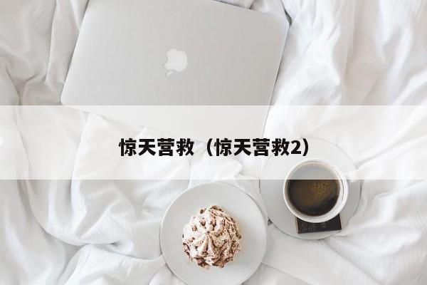 惊天营救（惊天营救2）